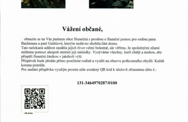 Prosba o finanční pomoc